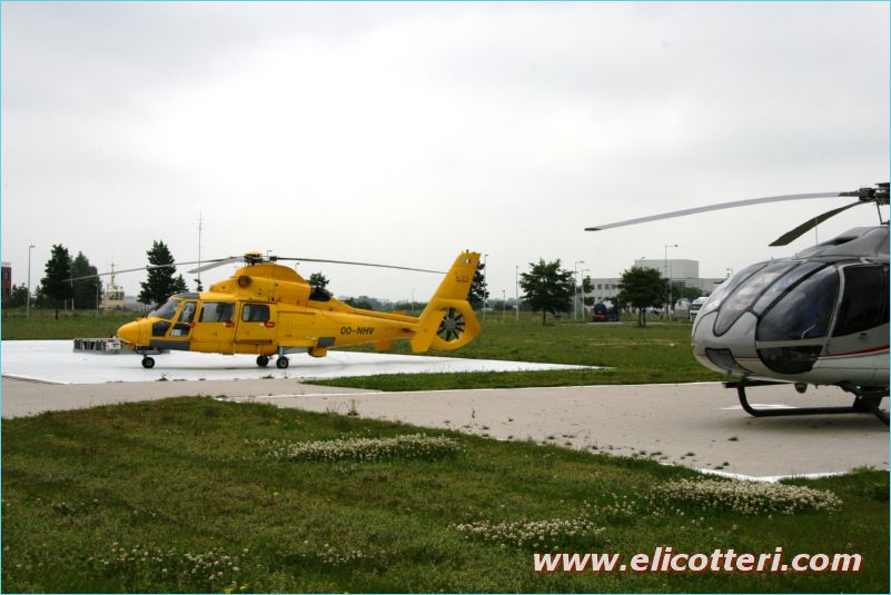 elifoto (136)